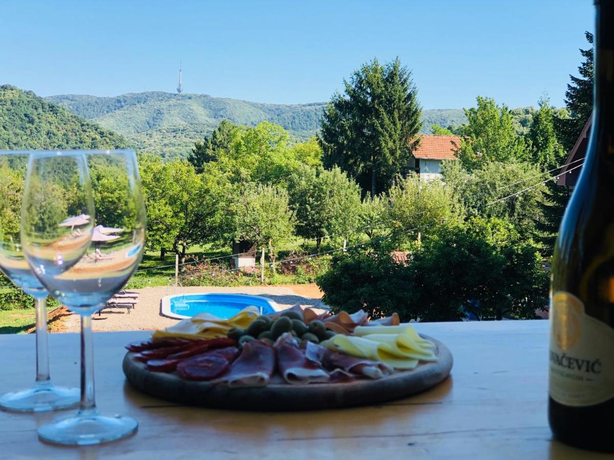 Sremska Kamenica Fruska Pool Houseヴィラ エクステリア 写真