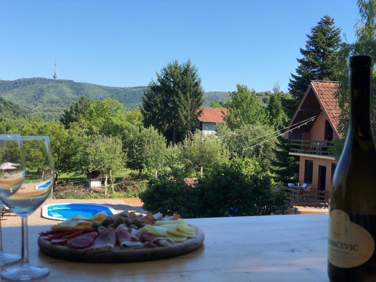 Sremska Kamenica Fruska Pool Houseヴィラ エクステリア 写真