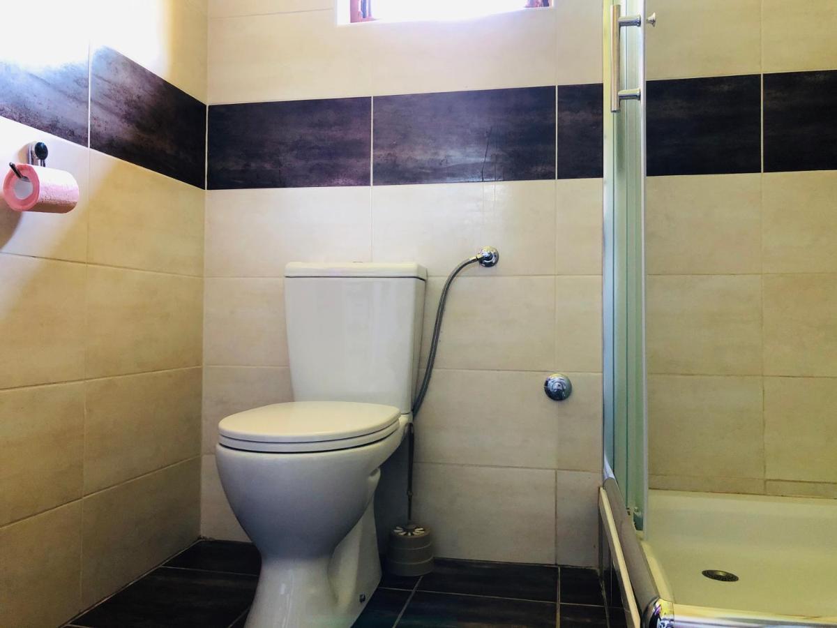 Sremska Kamenica Fruska Pool Houseヴィラ エクステリア 写真