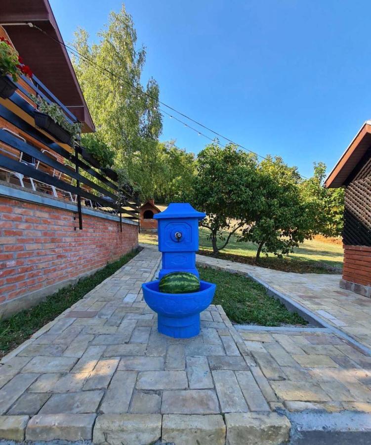 Sremska Kamenica Fruska Pool Houseヴィラ エクステリア 写真
