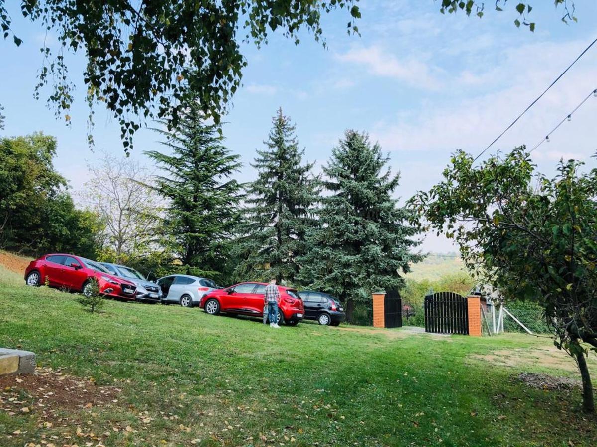 Sremska Kamenica Fruska Pool Houseヴィラ エクステリア 写真