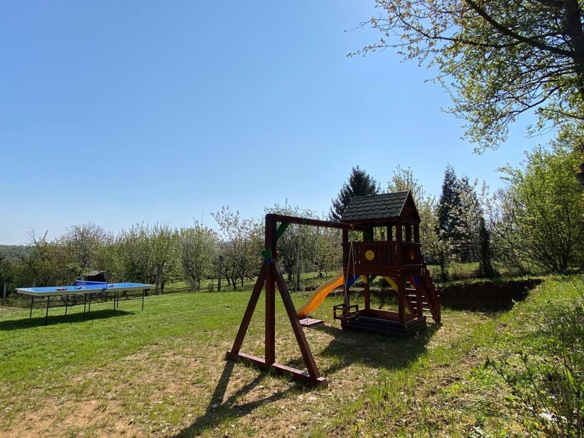 Sremska Kamenica Fruska Pool Houseヴィラ エクステリア 写真