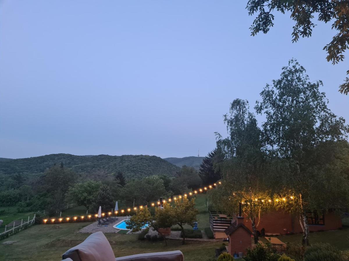 Sremska Kamenica Fruska Pool Houseヴィラ エクステリア 写真
