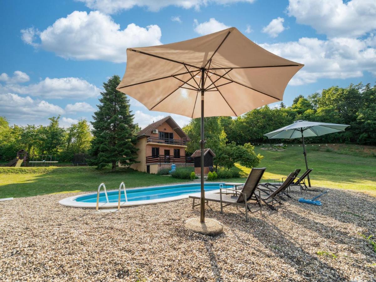 Sremska Kamenica Fruska Pool Houseヴィラ エクステリア 写真