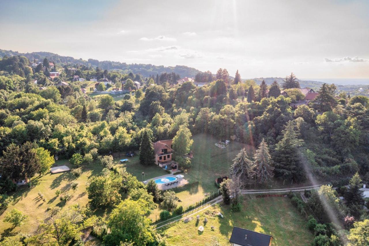 Sremska Kamenica Fruska Pool Houseヴィラ エクステリア 写真