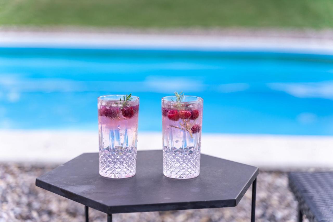 Sremska Kamenica Fruska Pool Houseヴィラ エクステリア 写真