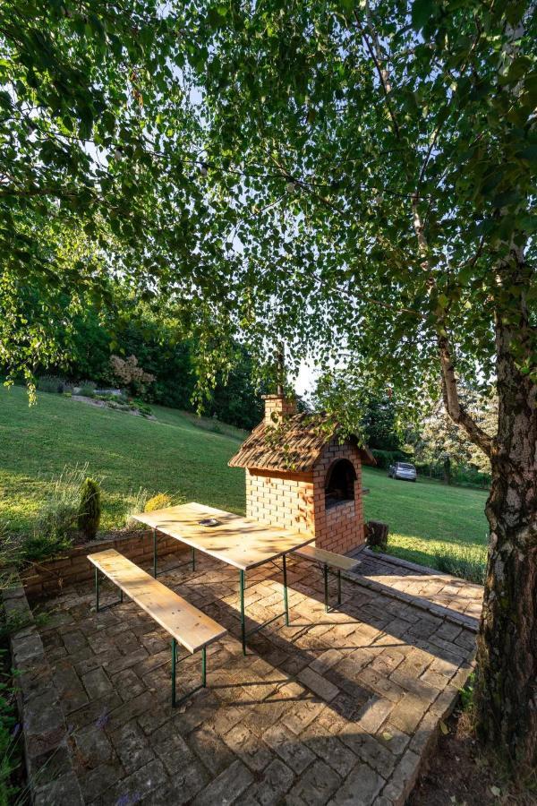 Sremska Kamenica Fruska Pool Houseヴィラ エクステリア 写真