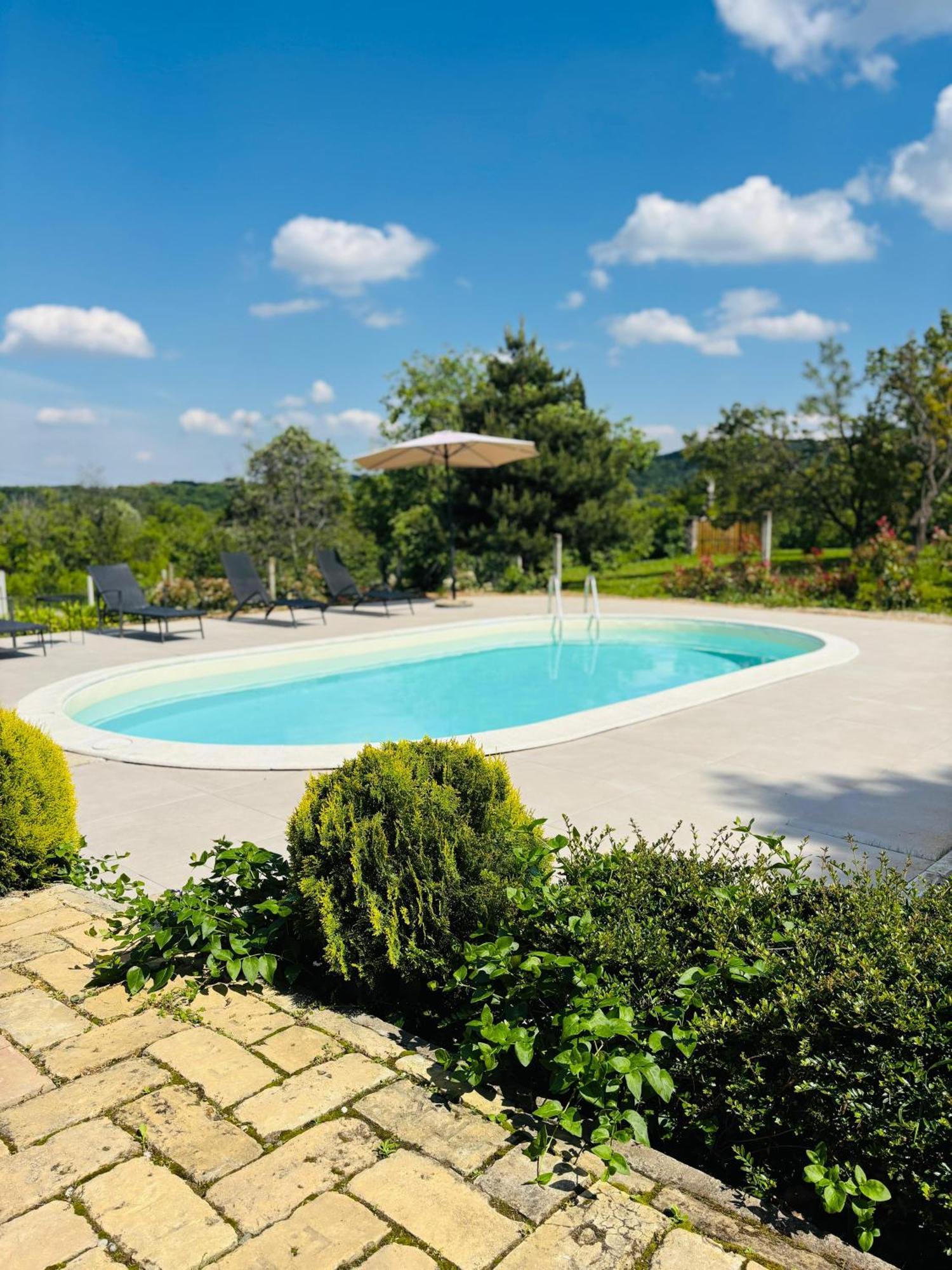 Sremska Kamenica Fruska Pool Houseヴィラ エクステリア 写真