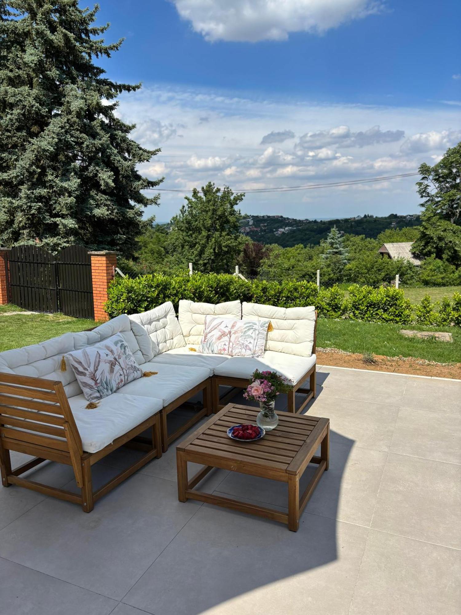 Sremska Kamenica Fruska Pool Houseヴィラ エクステリア 写真