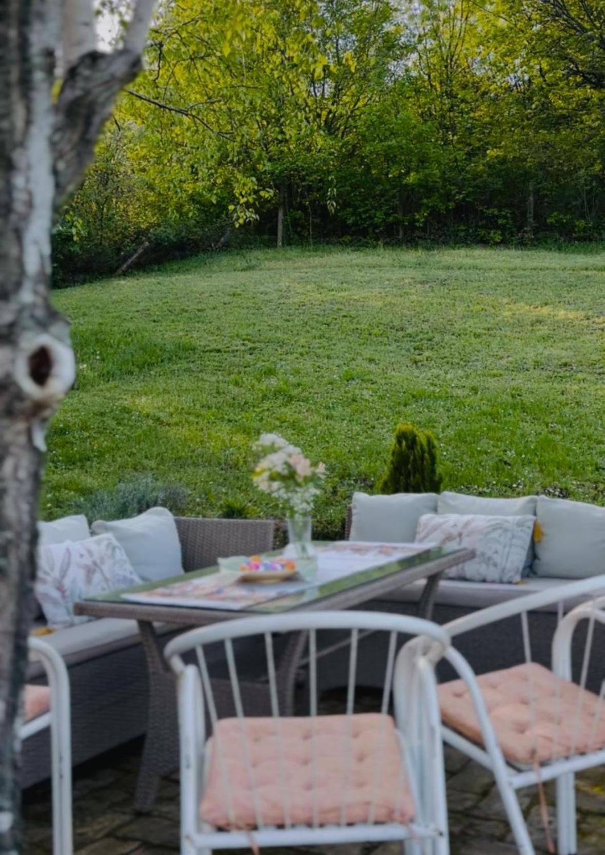 Sremska Kamenica Fruska Pool Houseヴィラ エクステリア 写真