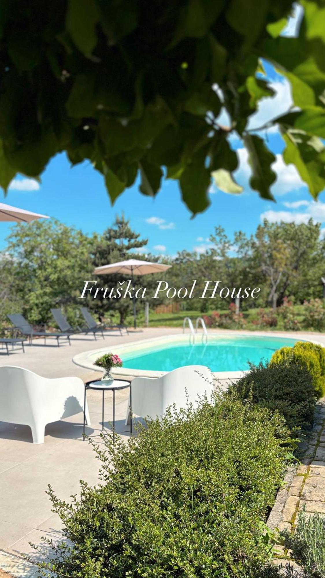 Sremska Kamenica Fruska Pool Houseヴィラ エクステリア 写真