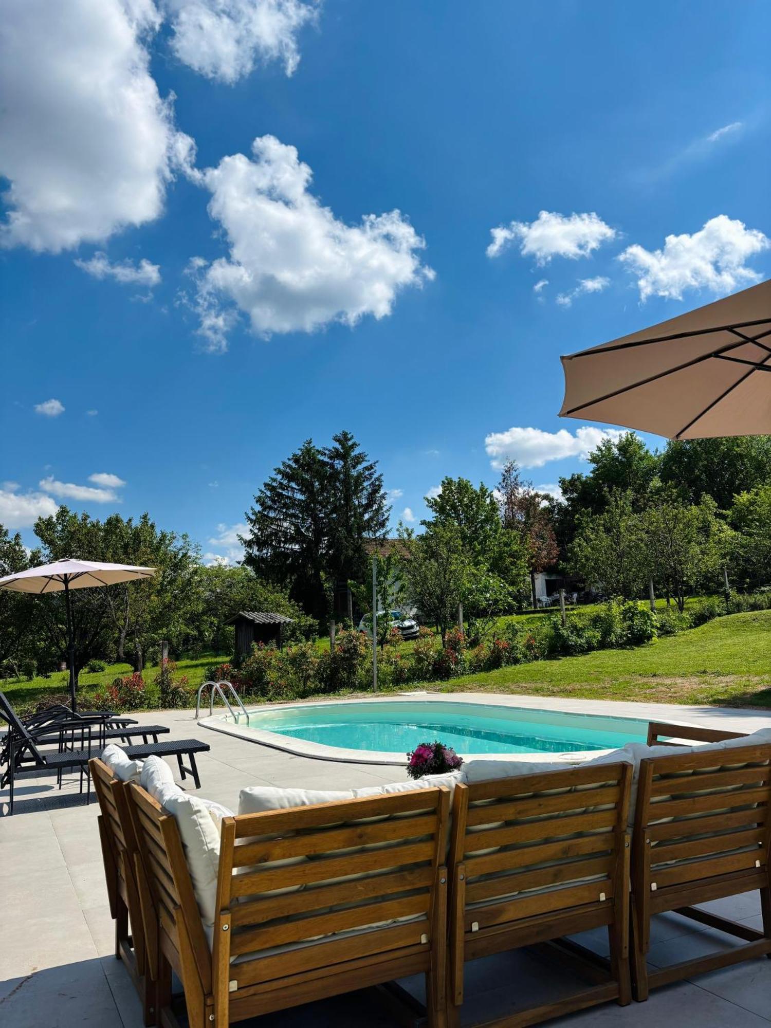 Sremska Kamenica Fruska Pool Houseヴィラ エクステリア 写真