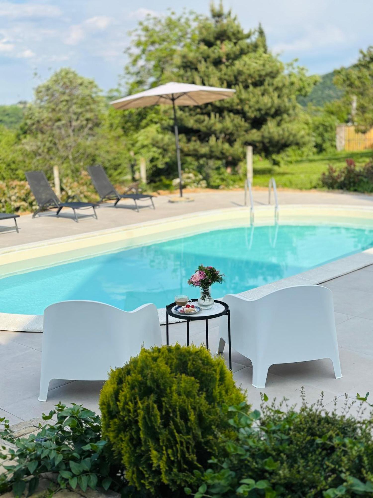 Sremska Kamenica Fruska Pool Houseヴィラ エクステリア 写真