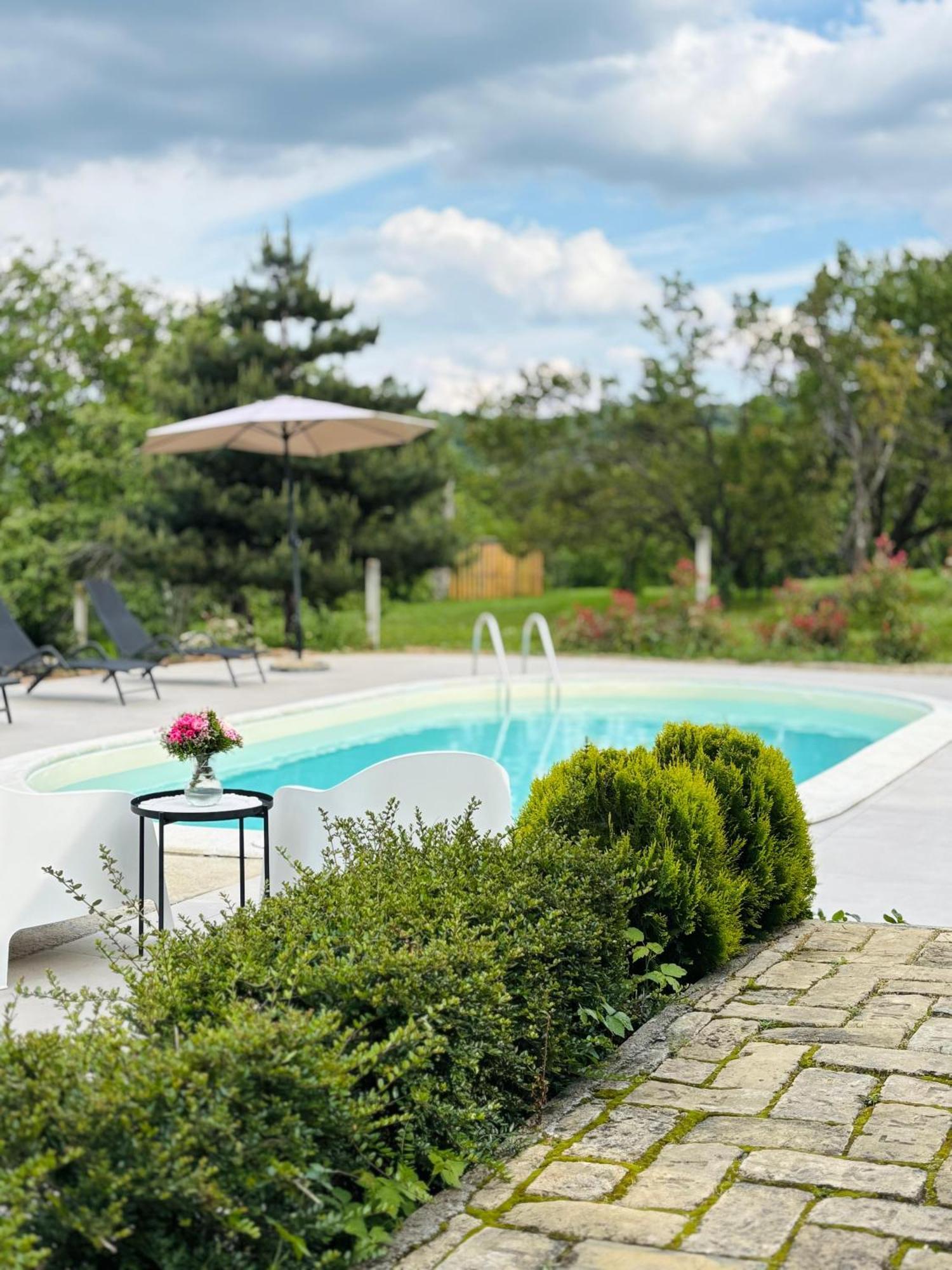 Sremska Kamenica Fruska Pool Houseヴィラ エクステリア 写真
