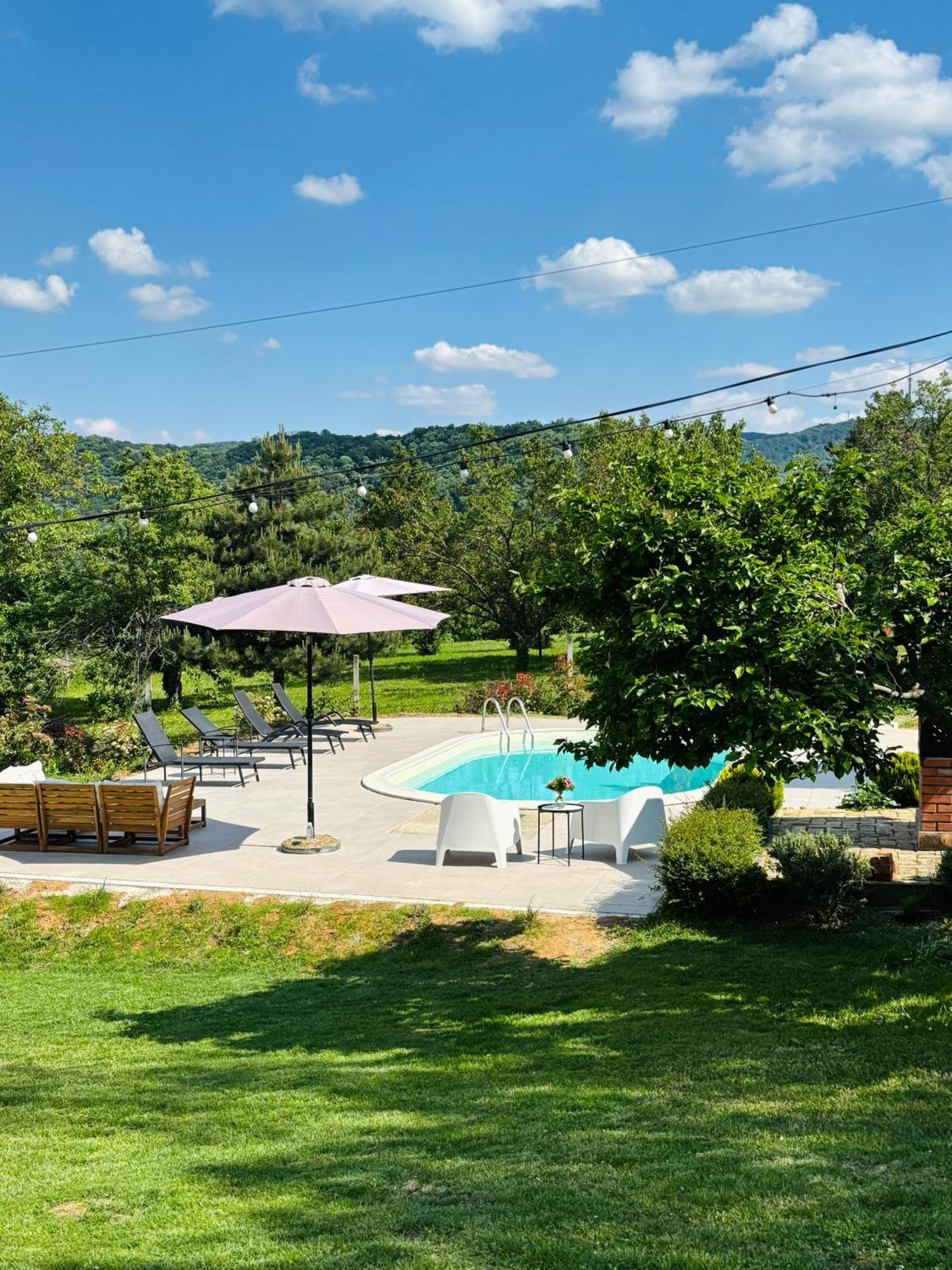 Sremska Kamenica Fruska Pool Houseヴィラ エクステリア 写真