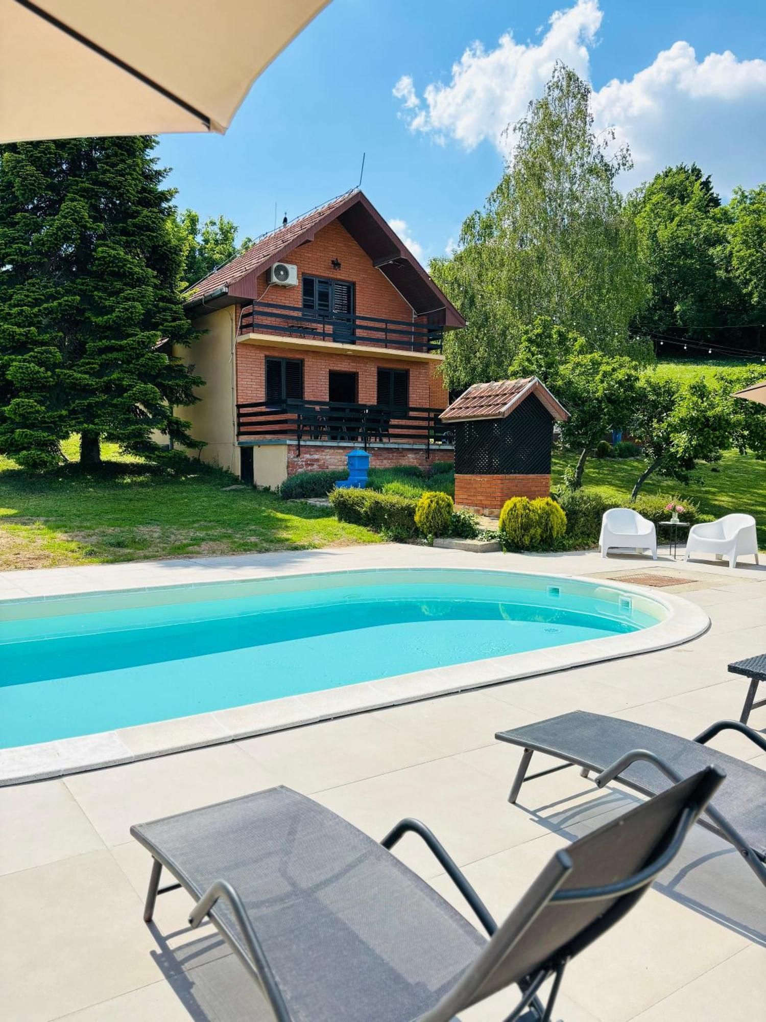 Sremska Kamenica Fruska Pool Houseヴィラ エクステリア 写真